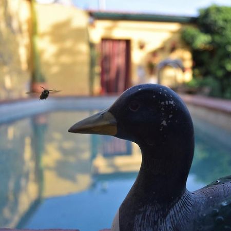 Casa Rural Don Alvaro De Luna Eksteriør billede